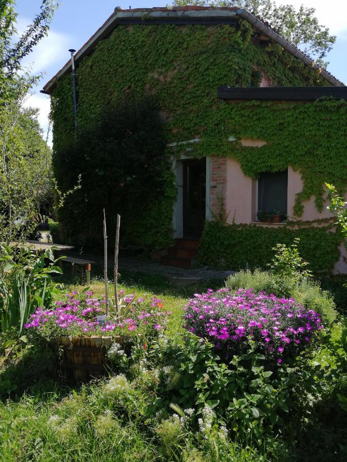 Agriturismo Il Palazzo Brisighella Exterior foto